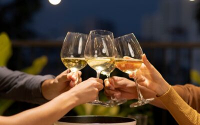 Cata especial de vinos de diferentes regiones de España