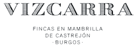 Logo Bodega Vizcarra